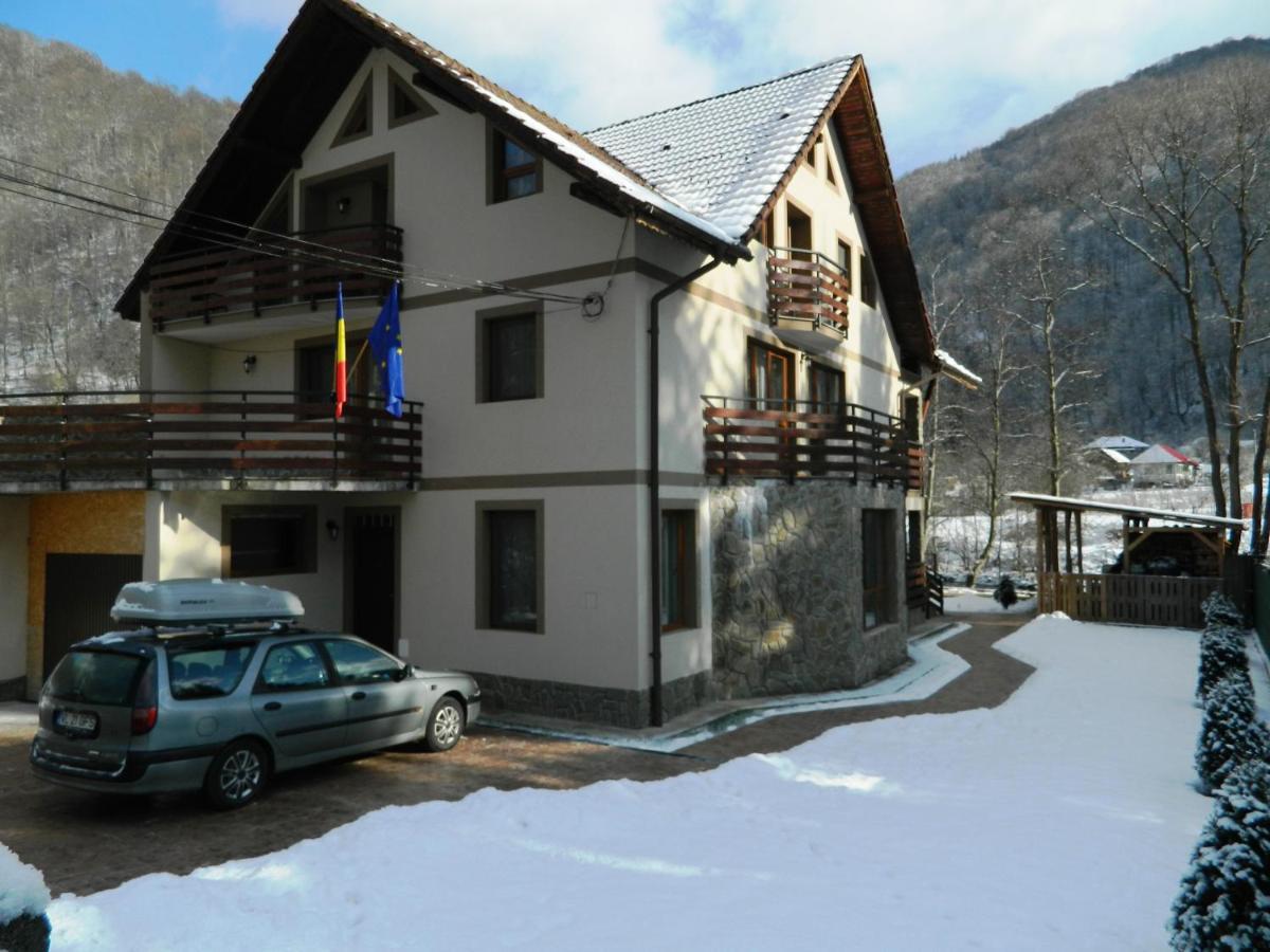 Villa Vila Alpen Voineasa Exterior foto