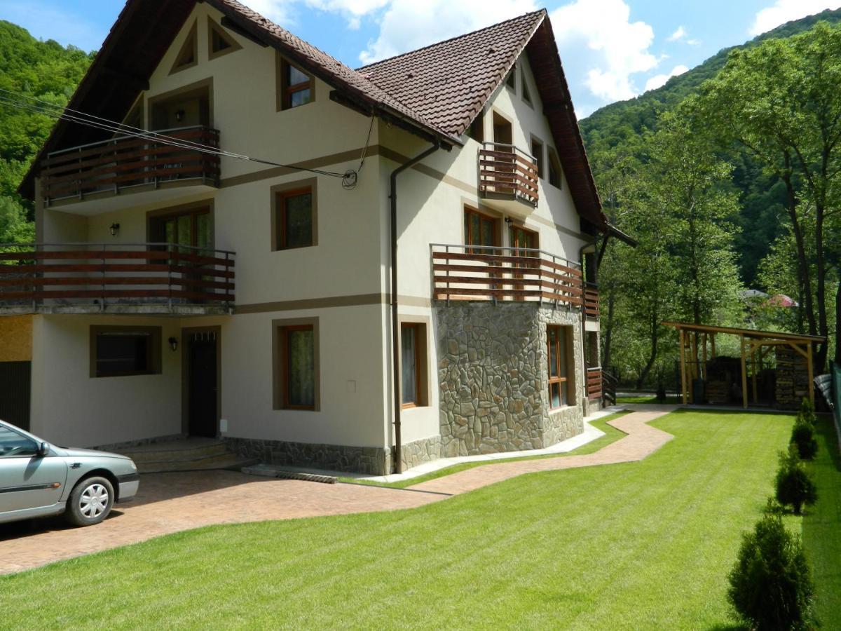 Villa Vila Alpen Voineasa Exterior foto