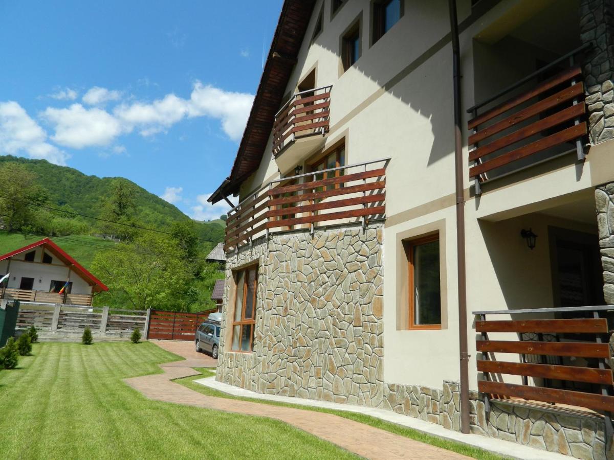 Villa Vila Alpen Voineasa Exterior foto